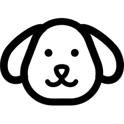 Favicon for aayushstha.com.np