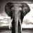 Favicon for biglife.org