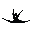Favicon for lincolnelitegymnastics.com