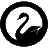 Favicon for outlier.nyc