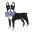 Favicon for dogwood-hill.com