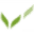 Favicon for coeliac.org.au