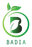 Favicon