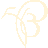 Favicon for picobonito.com