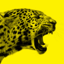 Favicon for locarnofestival.ch