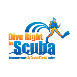 Favicon for www.diverightinscuba.com