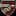 Favicon for www.polk.edu