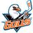 Favicon for www.sandiegogulls.com