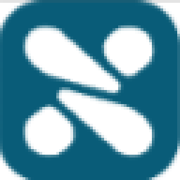 Favicon for www.squiz.net