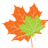 Favicon for www.maplesage.com